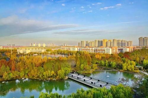 郑州大学城爆料事件最新,揭秘校园安全与管理的隐忧 第3张 郑州大学城爆料事件最新,揭秘校园安全与管理的隐忧 第3张