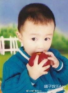 娱乐吃瓜君和刘二豆,揭秘娱乐圈背后的趣味故事  第3张