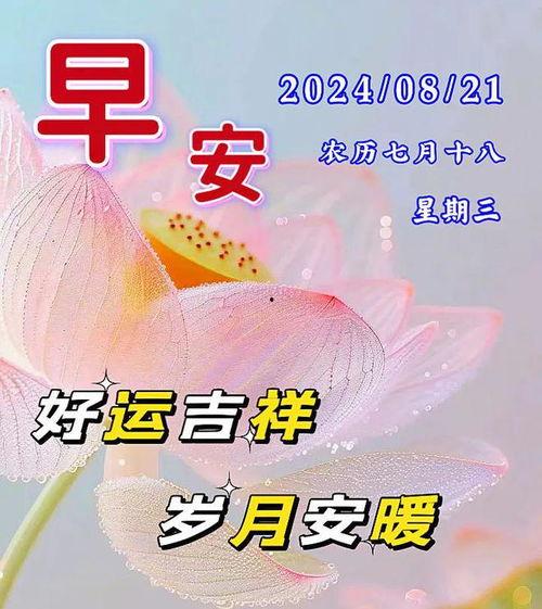 早安最新爆料图片大全集,最新图片大全集精彩瞬间回顾 第3张 早安最新爆料图片大全集,最新图片大全集精彩瞬间回顾 第3张