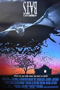 在线观看 蝙蝠,揭秘蝙蝠的神秘世界 第1张 在线观看 蝙蝠,揭秘蝙蝠的神秘世界 第1张